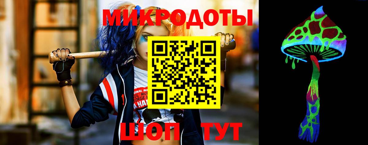 закладка  Галлюциногенные грибы мухоморы  Вход с VPN  Камень-на-Оби  Псилоцибиновые грибы MAGIC MUSHROOMS 